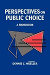 Perspectives on Public Choice