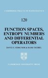 Function Spaces, Entropy Numbers, Differential Operators