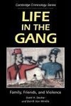 Life in the Gang