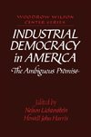 Industrial Democracy in America