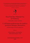 Non-Flint Raw Material Use in Prehistory  / L'utilisation préhistorique de matières premières lithiques alternatives