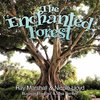 The Enchanted Forest