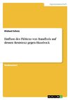 Einfluss des Flößens von Rundholz auf dessen Resistenz gegen Hausbock