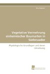 Vegetative Vermehrung einheimischer Baumarten in Südecuador