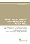 Freisetzung des basischen Fibroblastenwachstums-faktors (bFGF)