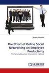 The Effect of Online Social Networking on Employee Productivity