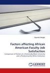 Factors affecting African American Faculty Job Satisfaction