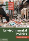 Environmental Politics