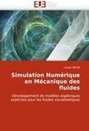 Simulation Numérique en Mécanique des fluides