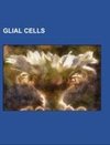 Glial cells