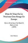 Dyas Et Trias Ou Le Nouveau Gres Rouge En Europe