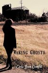 Waking Ghosts