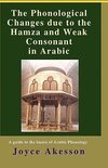 The Phonological Changes due to the Hamza and Weak Consonant in Arabic