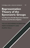 Representation Theory of the Symmetric Groups