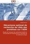 Mécanisme optimal de recherche de cible des protéines sur l'ADN