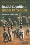 Spatial Cognition, Spatial Perception