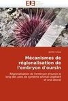 Mécanismes de régionalisation de l'embryon d'oursin