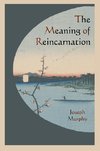 MEANING OF REINCARNATION
