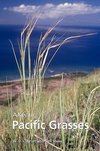 Clayton, W:  Key to Pacific Grasses, A