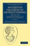 Antiquites Celtiques Et Antediluviennes - Volume 2