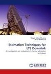 Estimation Techniques for LTE Downlink