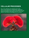 Cellular processes