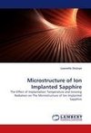 Microstructure of Ion Implanted Sapphire