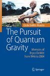 The Pursuit of Quantum Gravity