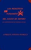 LOS PRINCIPIOS SIN FUNDAMENTO DEL JUICIO DE AMPARO. (Las jurisprudencias que deniegan justicia)