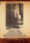 How the Little Pine Escaped the Ax