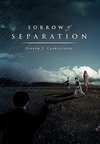 Sorrow of Separation