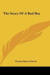 The Story Of A Bad Boy