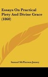 Essays On Practical Piety And Divine Grace (1860)