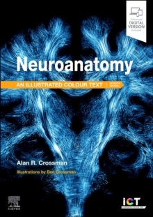 Neuroanatomy: Illustrated Colour Text, 7th Edition