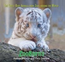 ZooBorns: The Cutest Baby Animals from Zoos Around the World!