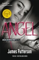 Maximum Ride: Angel