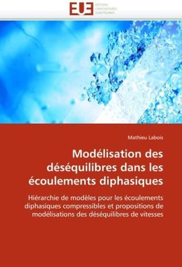 Modélisation des déséquilibres dans les écoulements diphasiques