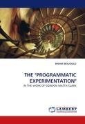 THE "PROGRAMMATIC EXPERIMENTATION"