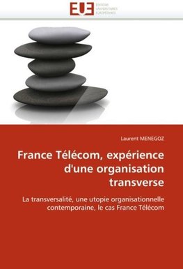 France Télécom, expérience d''une organisation transverse