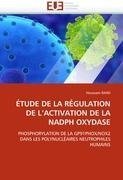 ÉTUDE DE LA RÉGULATION DE L'ACTIVATION DE LA NADPH OXYDASE