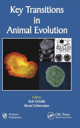 Key Transitions in Animal Evolution