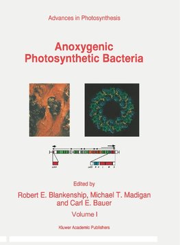 Anoxygenic Photosynthetic Bacteria