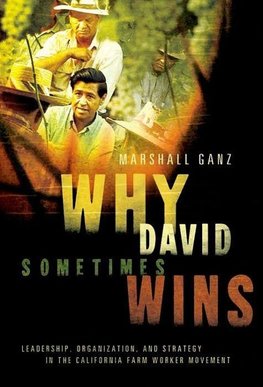 Ganz, M: Why David Sometimes Wins