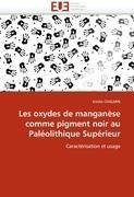 Les oxydes de manganèse comme pigment noir au Paléolithique Supérieur