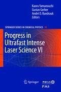 Progress in Ultrafast Intense Laser Science VI