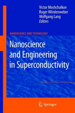 Nanoscience and Engineering in Superconductivity