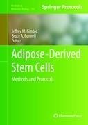 Adipose-Derived Stem Cells