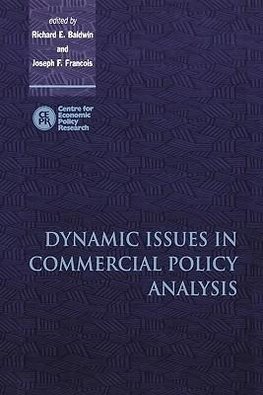 Dynamic Issues in Applied Commercial Policy Analysis