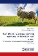 Kari sheep - a unique genetic resource in domesticated sheep