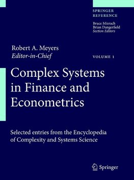 Finance, Econometrics and System Dynamics